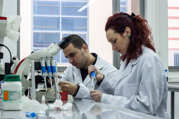 Científico moderno trabajando con la pipeta en el laboratorio de biotecnología
 - Foto, Imagen