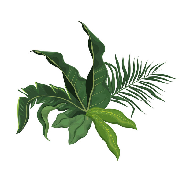 tropical leave palm tree image - Vector, Image
