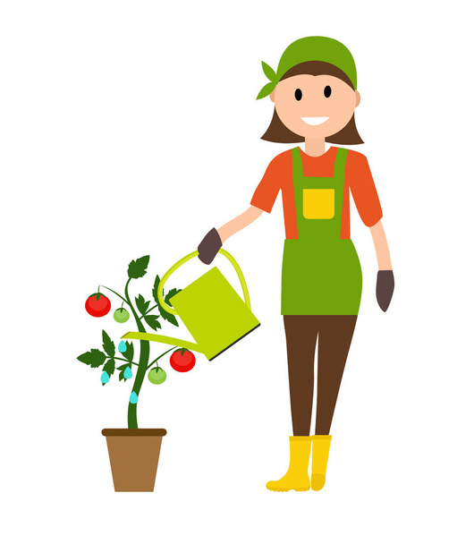 Zemědělec zahradník žena s konev a rostlin rajčete v režimu - Vektor, obrázek
