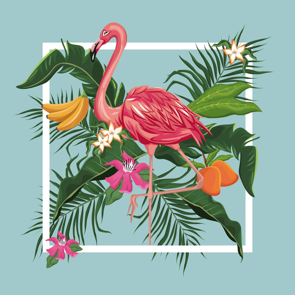 Flamingo pták mango banánové listy exotické tropické - Vektor, obrázek