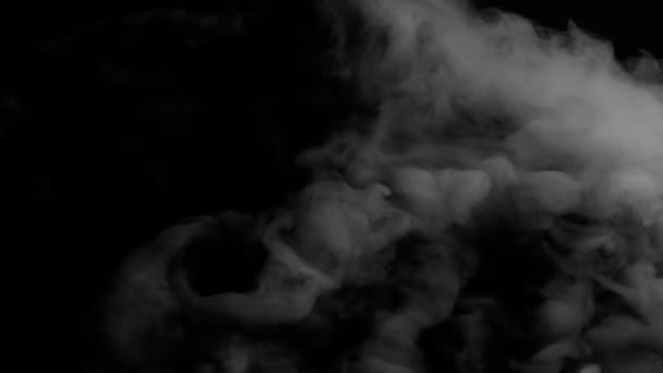 Witte rook over zwart  - Video