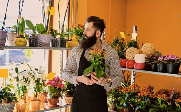 Bearded male flower seller - Foto, immagini