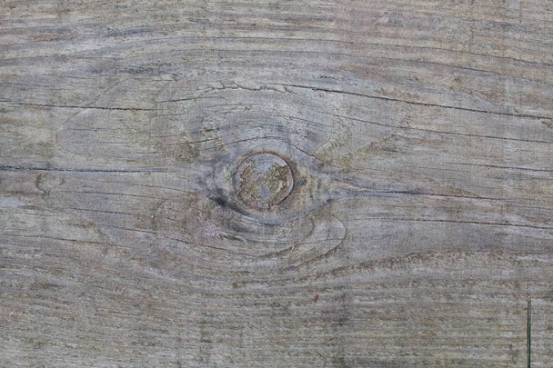 Background of wooden boards with a bough - Photo, Image