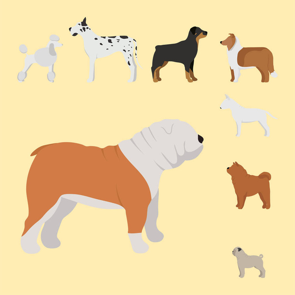 Divertido perro de dibujos animados carácter pan en ilustración vectorial estilo de dibujos animados
. - Vector, imagen