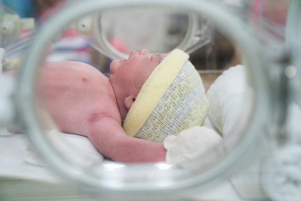 Novorozené dítě  - Fotografie, Obrázek
