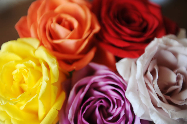 Цветочный фон. Текстура разноцветных роз крупным планом
 - Фото, изображение
