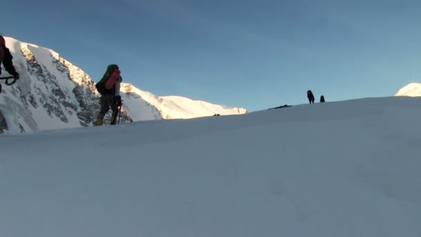 アルタイ山脈でのハイキングの観光客 - 映像、動画