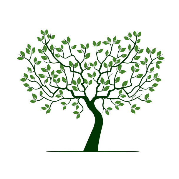 Green Tree with Leafs. Vector Illustration. - Vektör, Görsel
