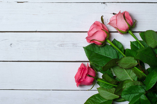 Рожеві троянди на білому дерев'яному фоні, вільний простір для вашого тексту
 - Фото, зображення