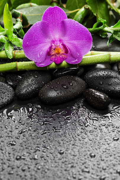 Spa concept with zen stones, orchid flower and bamboo - Fotoğraf, Görsel