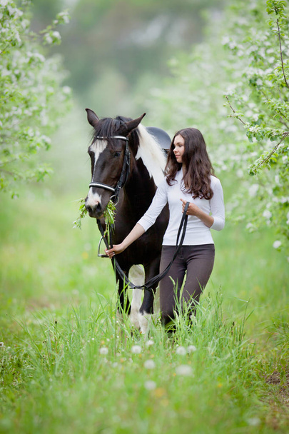 Young woman and pinto horse in apple garden. Horse and beautiful lady walking outdoor. - Photo, Image
