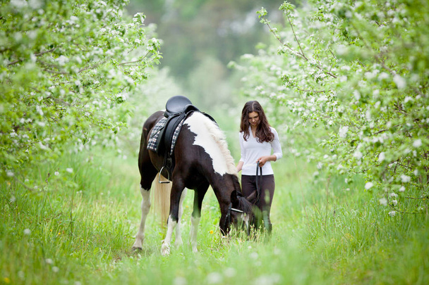 Young woman and pinto horse in apple garden. Horse and beautiful lady walking outdoor. - Photo, Image