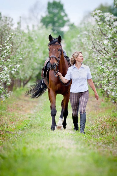 Woman and bay horse in apple garden. Horse and beautiful lady walking outdoor. Horse rider. - Photo, Image