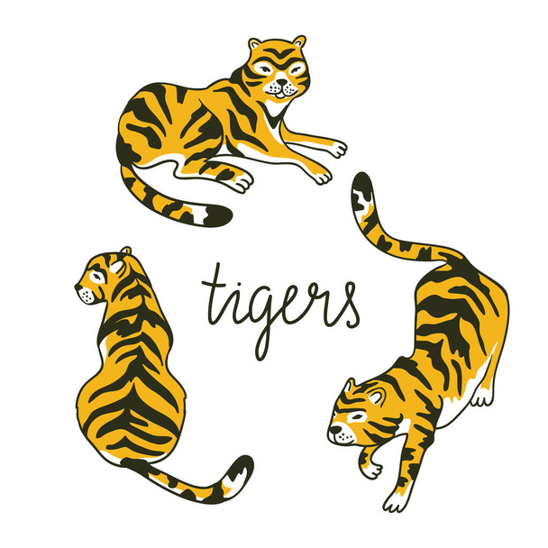 tigers in the diffrent poses - Vector, afbeelding