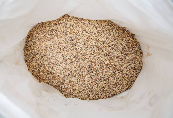 Malt grains. Beer production - Foto, imagen