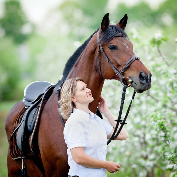 Woman and bay horse in apple garden. Portrait of horse and beautiful lady. Horse rider. - Photo, Image