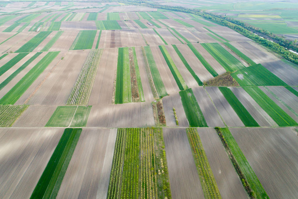 Вид с воздуха на сельхозугодия
 - Фото, изображение