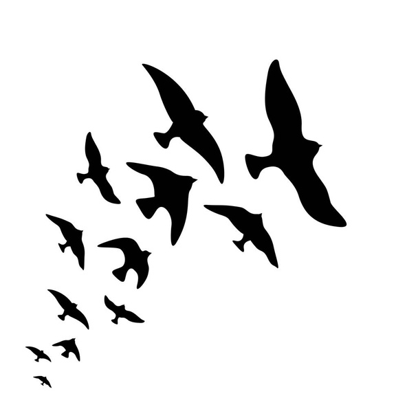 白い背景の上の飛行の鳥デザインのベクトル シルエットの群れ - ベクター画像