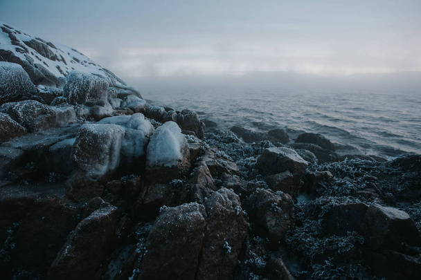 Winter coast of Barents Sea. Kola Peninsula, Russia - Zdjęcie, obraz
