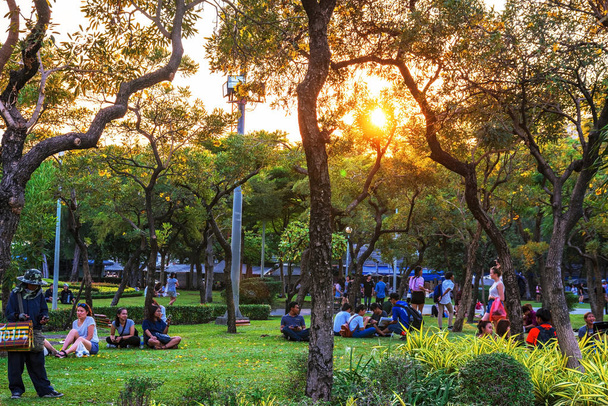 Chatuchak park trees and nature - 写真・画像