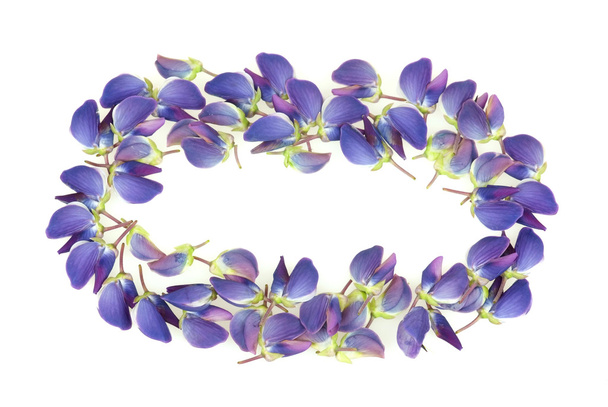 Frame made of beautiful lupine flower petals - Φωτογραφία, εικόνα