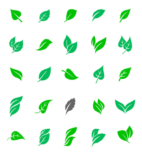 Ensemble de feuilles vertes. - Vecteur, image