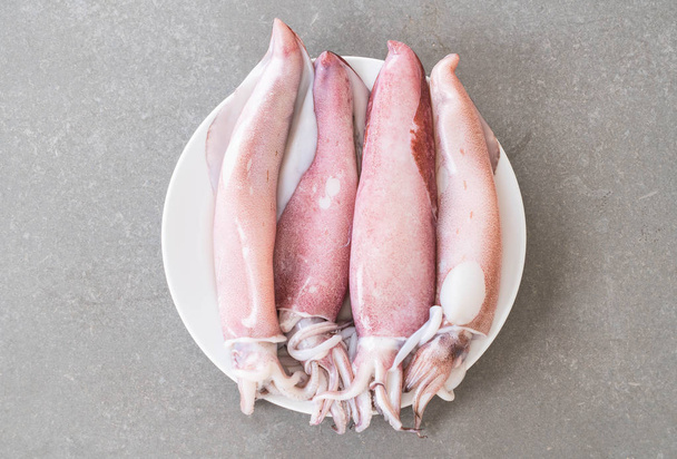 Fresh Squid on white plate - Zdjęcie, obraz