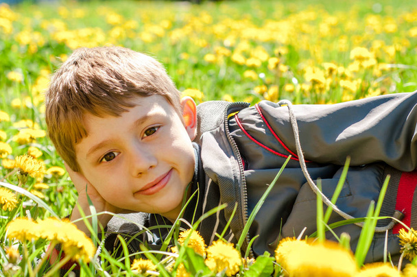 Le garçon est allongé sur une clairière de pissenlits en fleurs
 - Photo, image