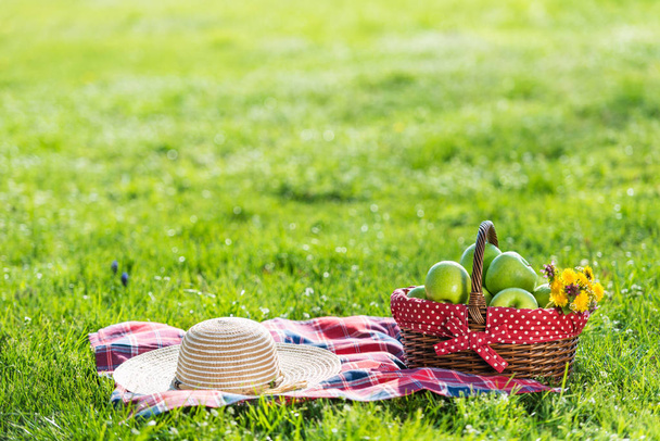 корзина для пикника и одеяло
 - Фото, изображение