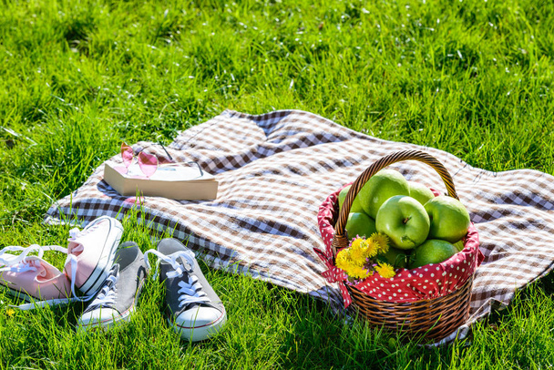cesta de picnic y manta
 - Foto, Imagen