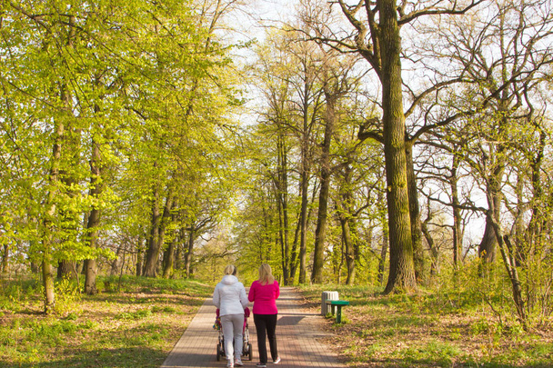 Rear view at two young girls walking and talking at spring oak p - Valokuva, kuva