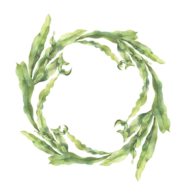 Watercolor wreath with laminaria. Hand painted underwater floral illustration with algae leaves branch isolated on white background. For design, fabric or print. - Photo, Image