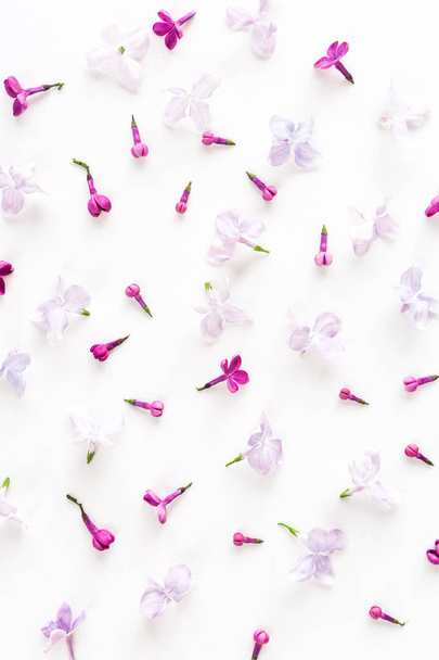 The white background filled with purple spring lilac flowers. Concept of freshness and beautifulness. Flat lay. Top view. - Foto, afbeelding