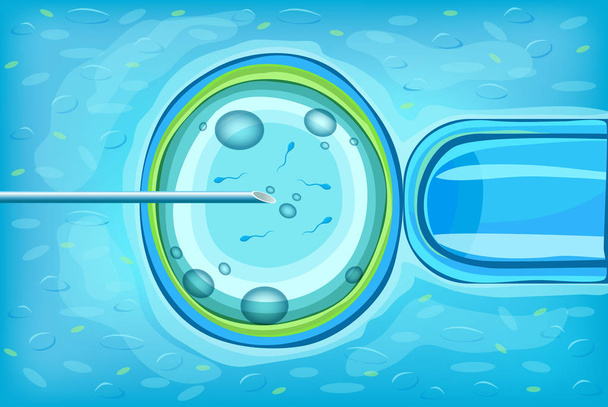 Στην εξωσωματική γονιμοποίηση επιστημονική έννοια - Διάνυσμα, εικόνα
