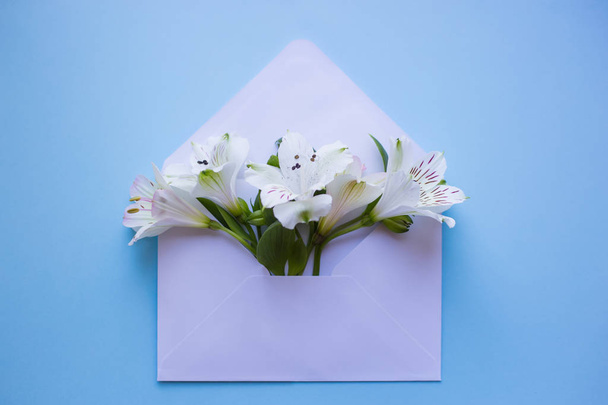 青バックの封筒にアルストロメリアの美しい優しい花束 - 写真・画像