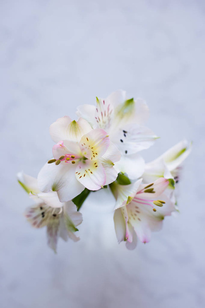 Beautiful tender bouquet of Alstroemeria on white marble backgro - Photo, image