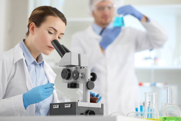scientists working at laboratory - Foto, Bild