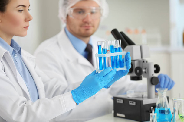 Scientists working in laboratory - Фото, изображение