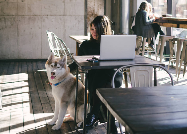 Woman with a laptop in cafe with husky dog - Φωτογραφία, εικόνα