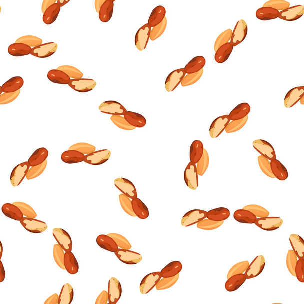 illustration of nuts - Vettoriali, immagini