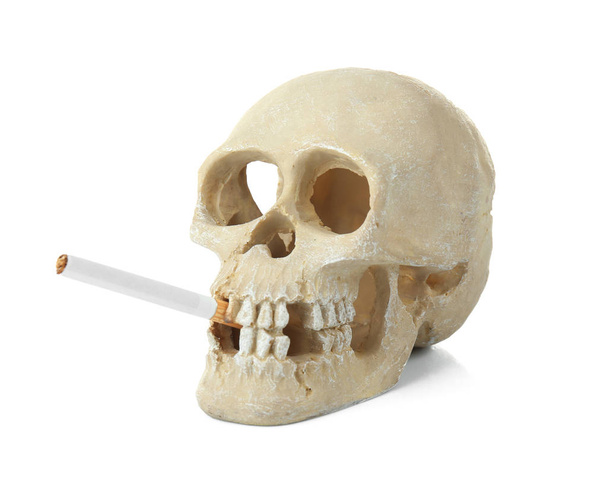 Skull with cigarette on white - Fotó, kép