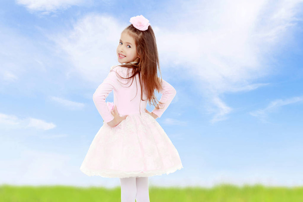 Elegant little girl in a pink dress. - Foto, Imagem