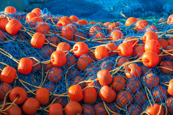 Kirkas kalaverkko kelluvilla lähikuvilla
 - Valokuva, kuva
