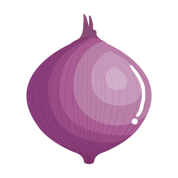 cebolla fresca icono vegetal
 - Vector, imagen