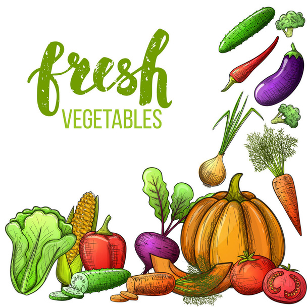 Vegetables colorful sketch - Vettoriali, immagini