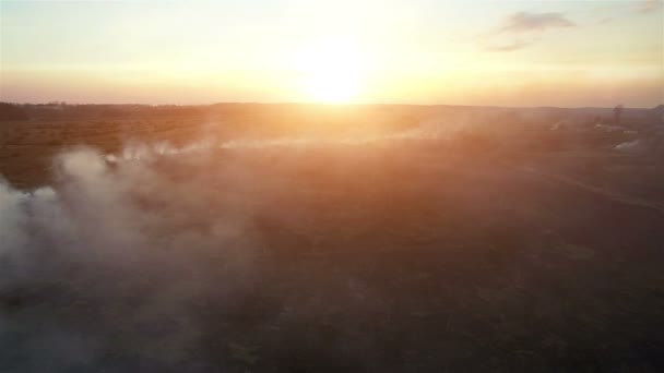 Aerial 4k. Fire fields at sunset. Large-scale fire, the view from the top. The camera flies through the thick smoke. Smog in a large area - Footage, Video