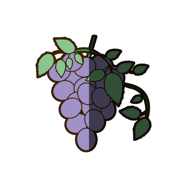 fond blanc avec un bouquet d'icône de raisin avec ombre
 - Vecteur, image