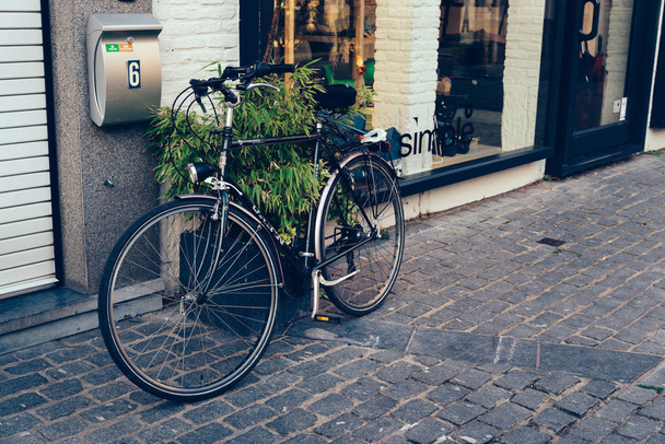 Bicycle parked in a shop in Mechelen - 写真・画像