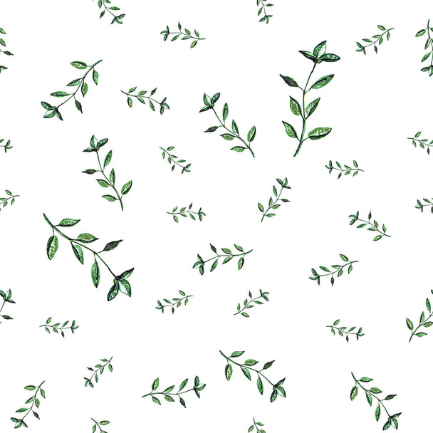 Green basil branches - Foto, immagini
