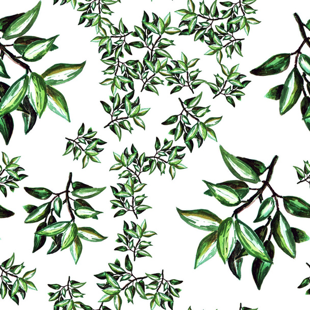 pattern with bay branches.  - Photo, Image